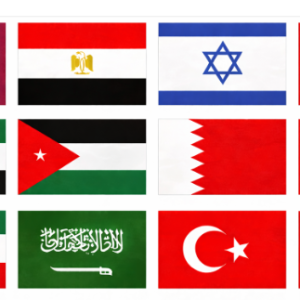 Middle East & North Africa (12 areas)