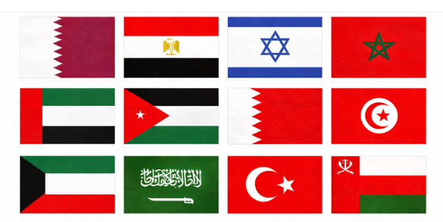 Middle East & North Africa (12 areas)