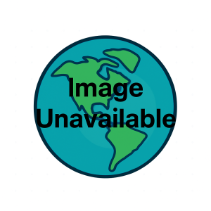 Middle East & North Africa (12 areas)